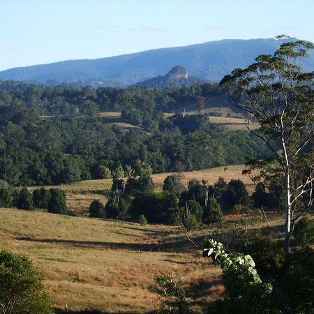 Grey Gum Lodge Nimbin Eksteriør bilde