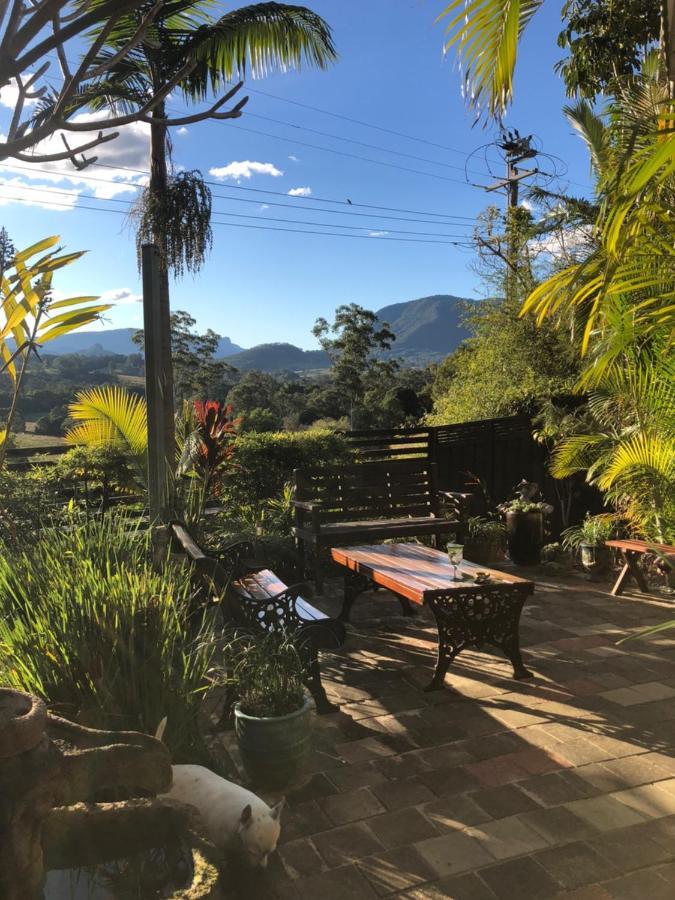 Grey Gum Lodge Nimbin Eksteriør bilde