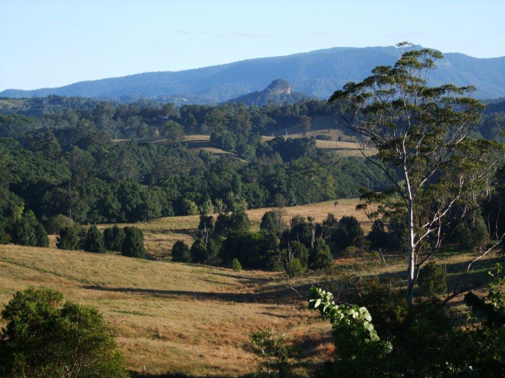 Grey Gum Lodge Nimbin Eksteriør bilde