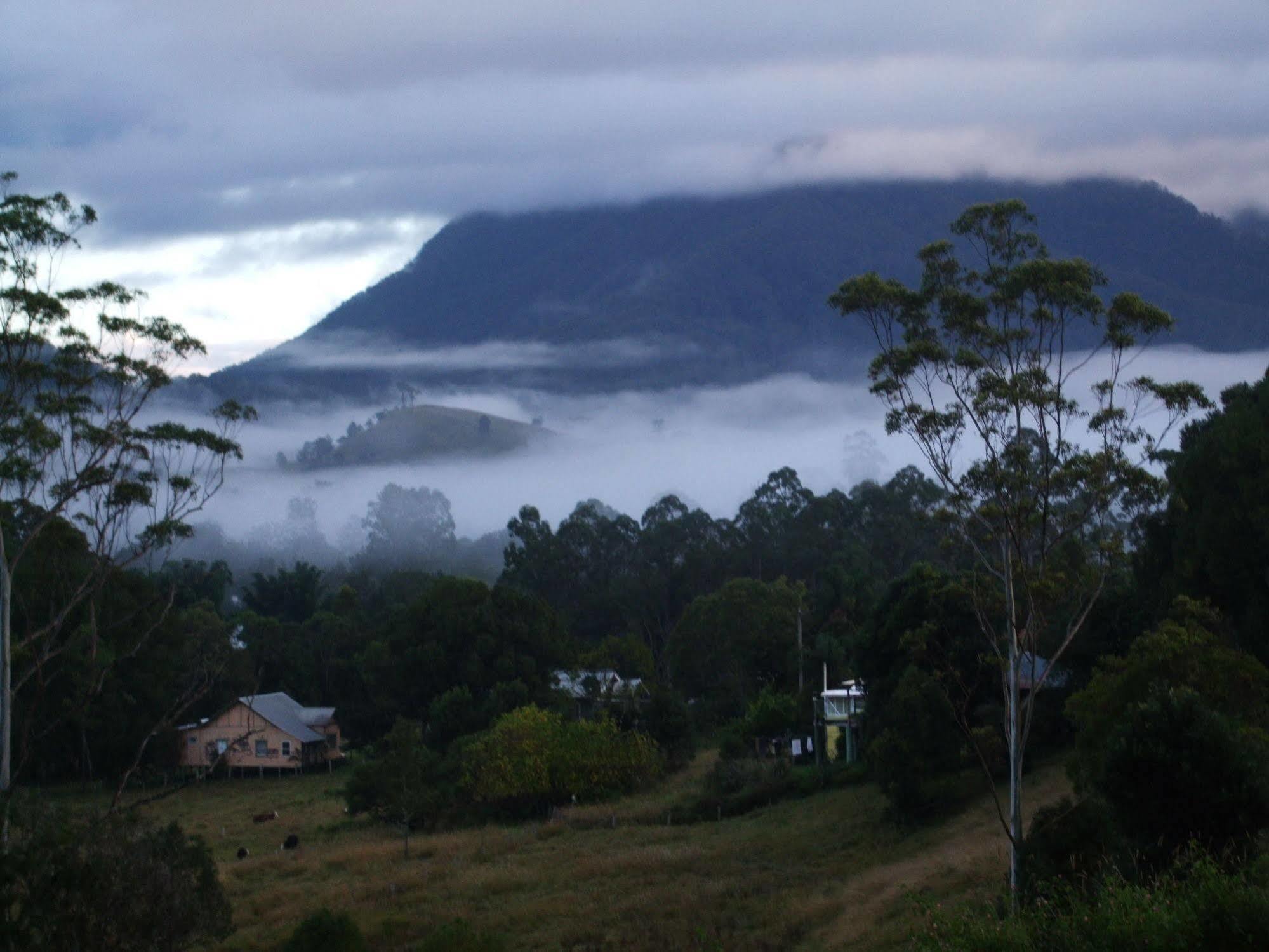 Grey Gum Lodge Nimbin Eksteriør bilde